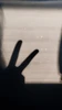 Profile picture of N
