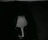 Foto de perfil de Garlich