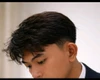 Hulagway sa profile ni Anton