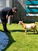 Profile picture of Tony