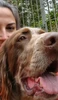 Profile picture of Oks