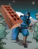 Profile picture of Alin