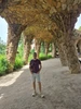 Immagine profilo di Giuseppe
