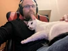 Rob ulanyjynyň profil suraty