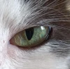 Foto de perfil de Adri