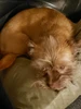 Profile picture of Treyce