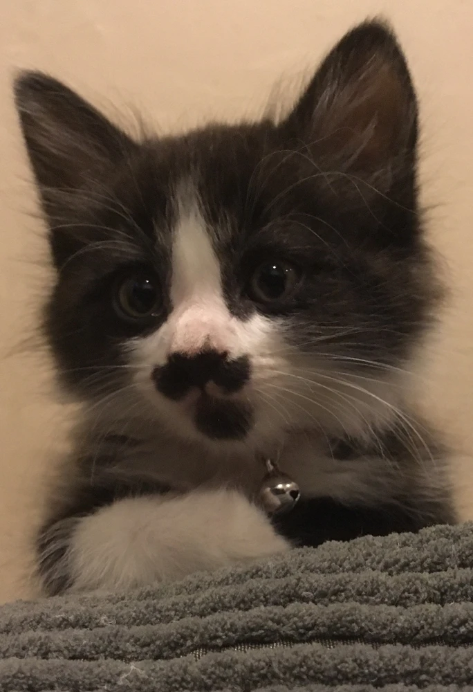 Image uploaded by Aquilla