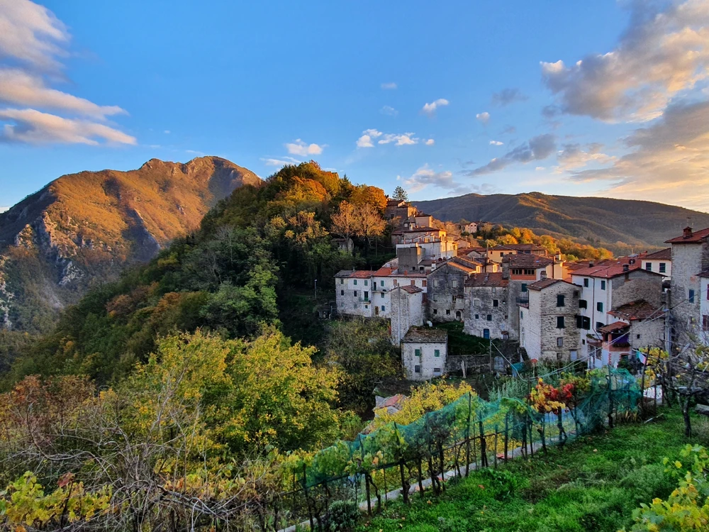 Image uploaded by Gianluca