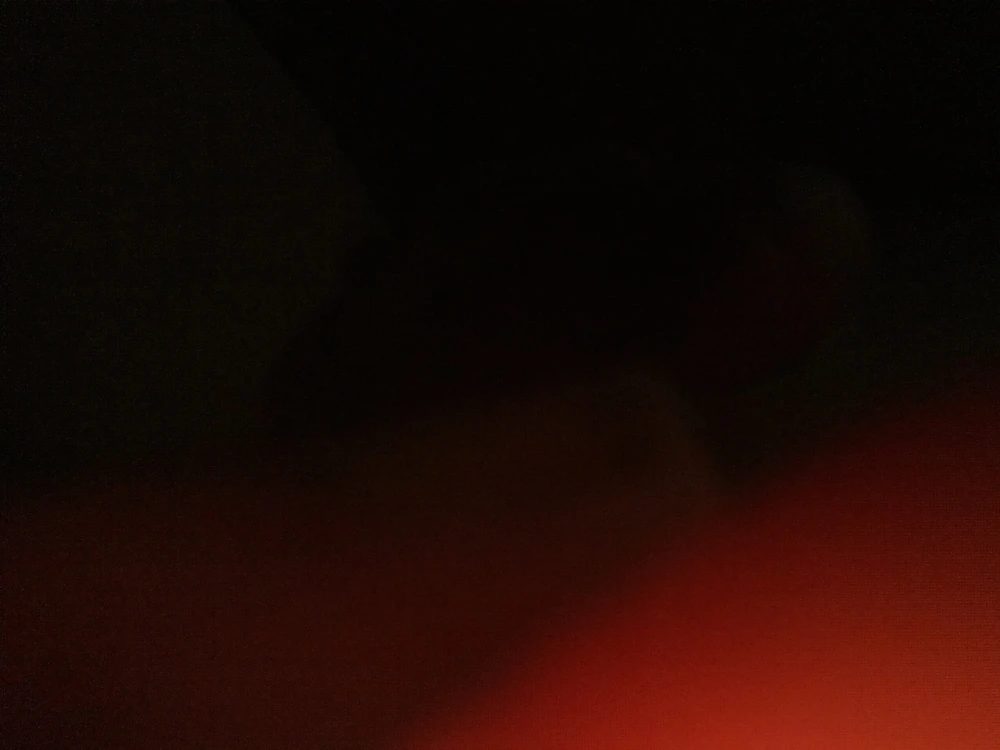 Image uploaded by Nik