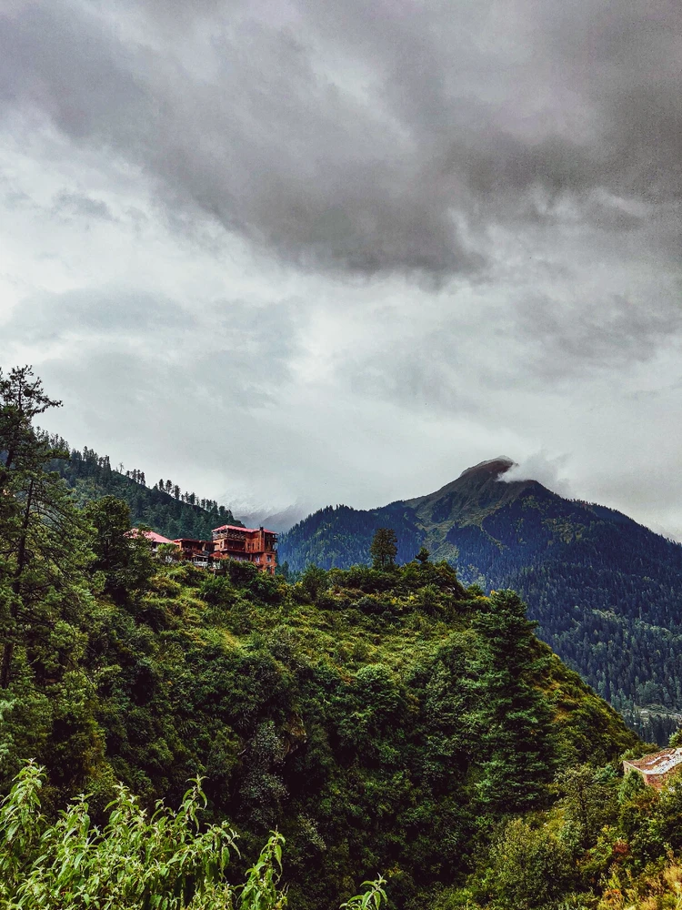 Image uploaded by Saurav