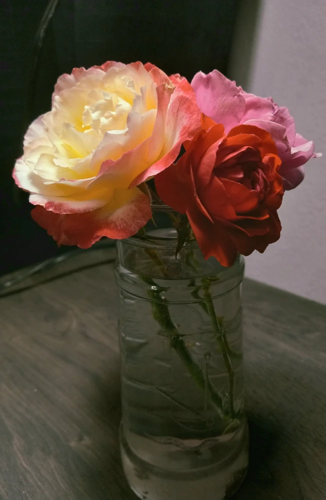 Image uploaded by Nate