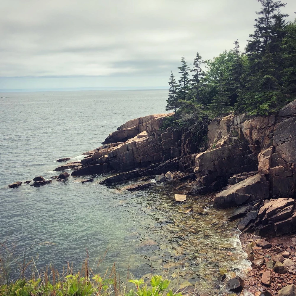 Image uploaded by Shawna