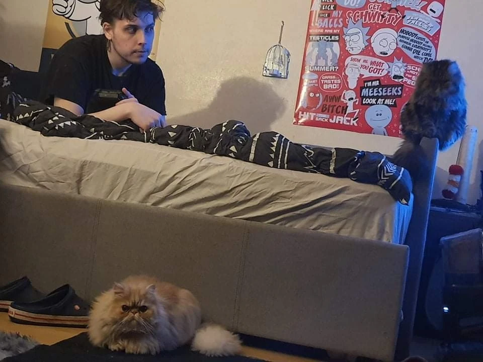 由Sammy上传的图片