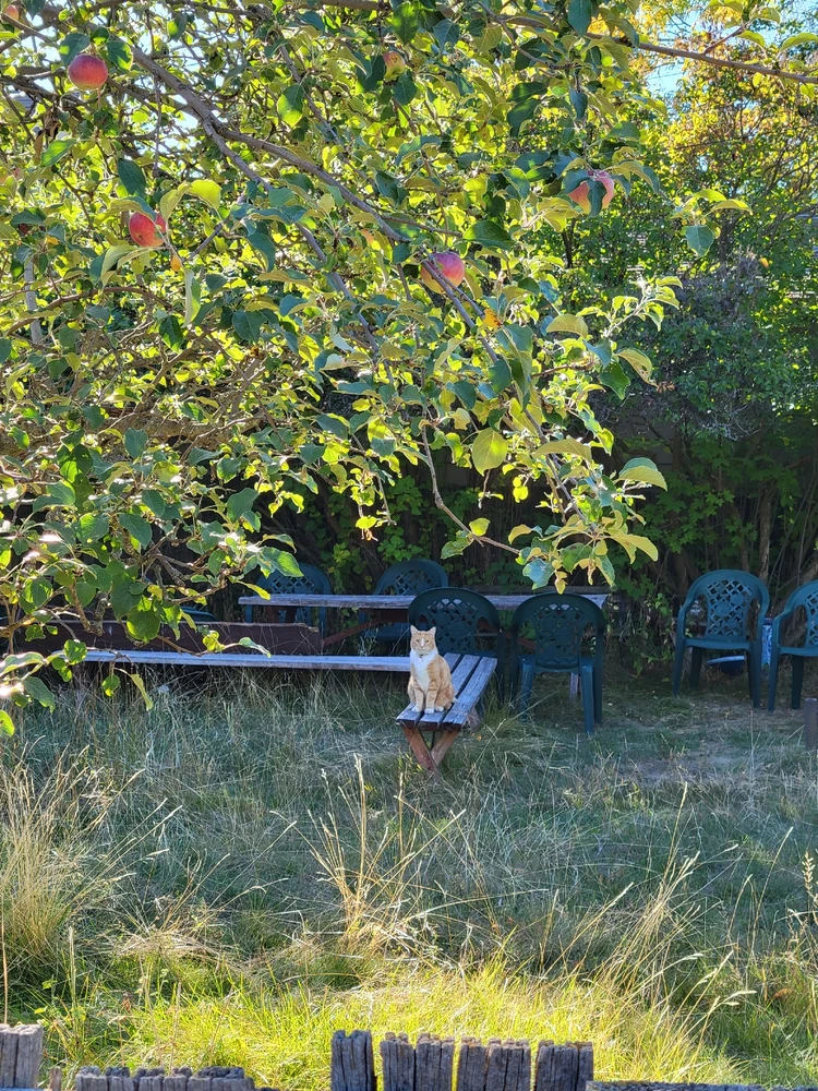 Image uploaded by Alexander