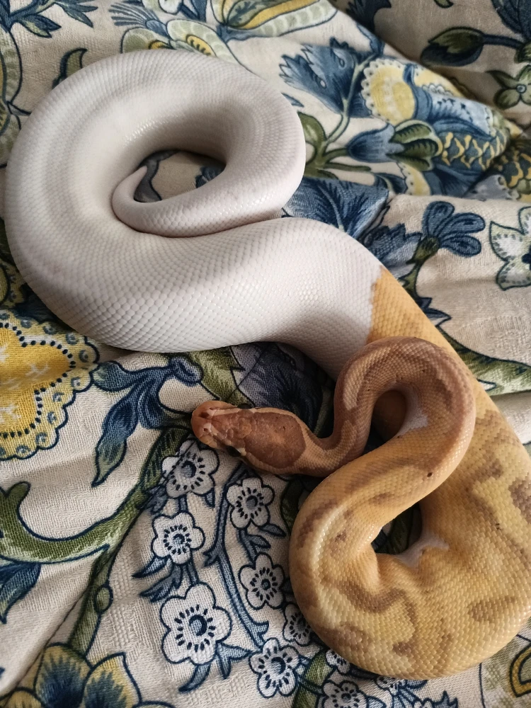 Image uploaded by Jeanne