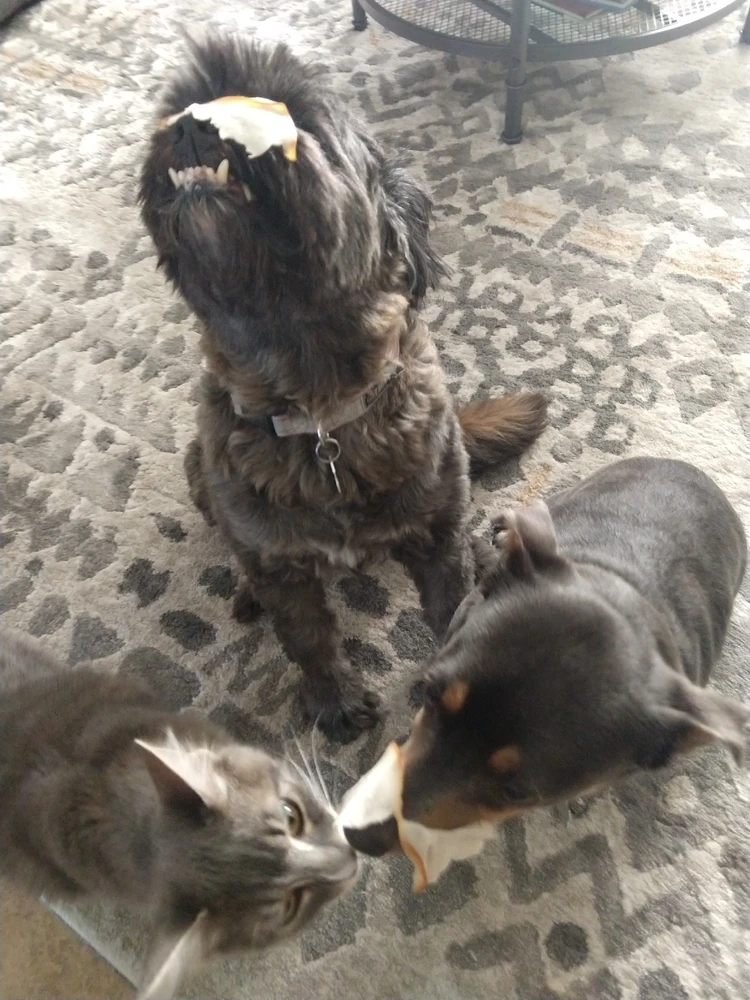 Image uploaded by Asher
