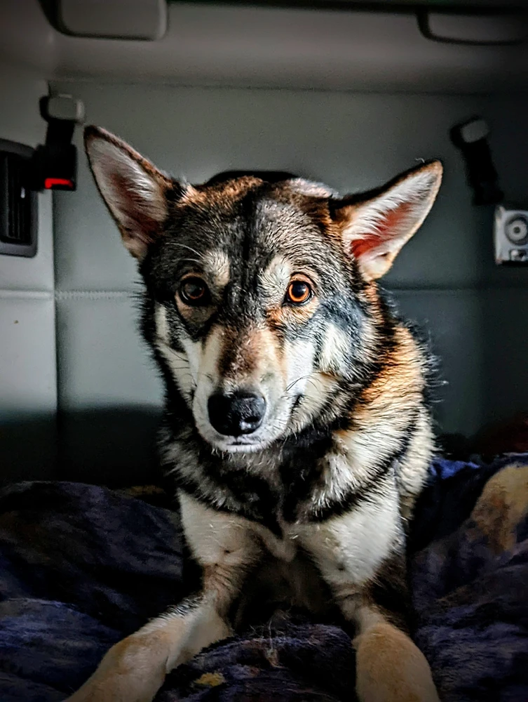 Image uploaded by Hunter