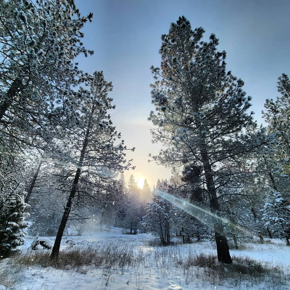 Image uploaded by Alexander