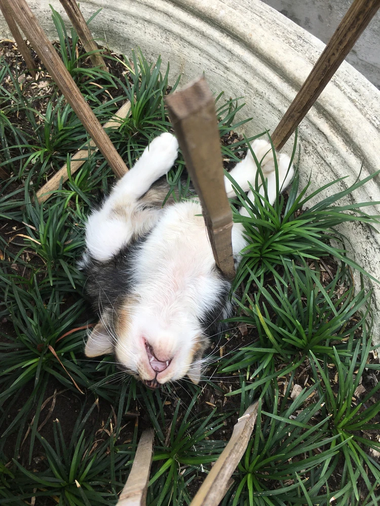 由Jeasy上传的图片