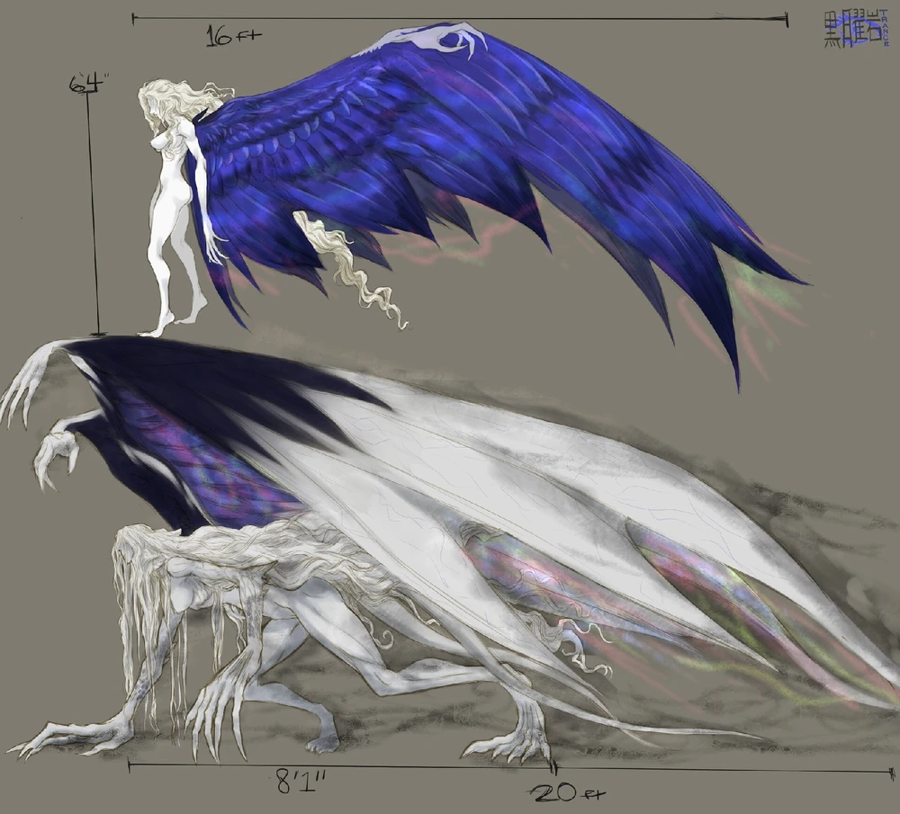 Cachusa~ Latente forms designs