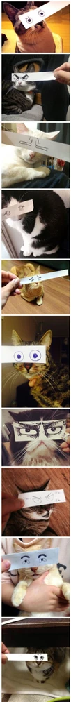Image uploaded by Eris