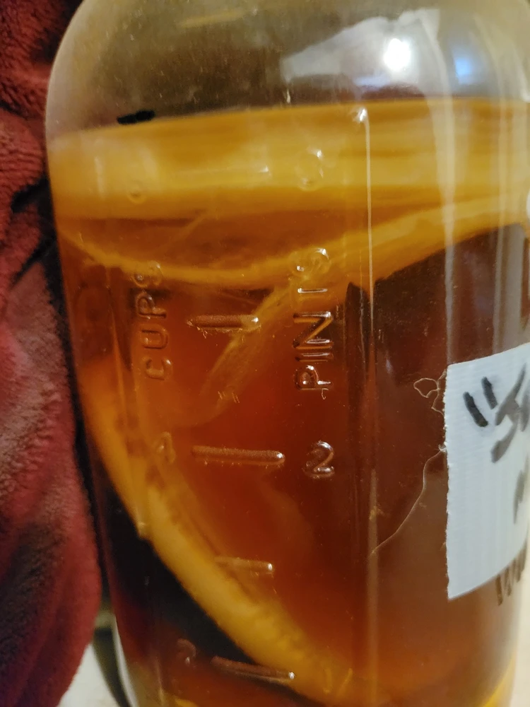 Image uploaded by Sholto