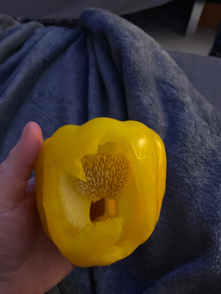 Bild hochgeladen von Stefanie