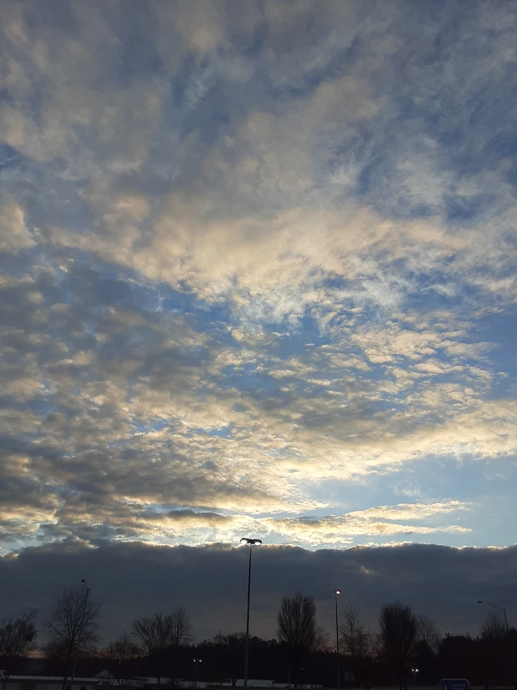 Image uploaded by Tizzy