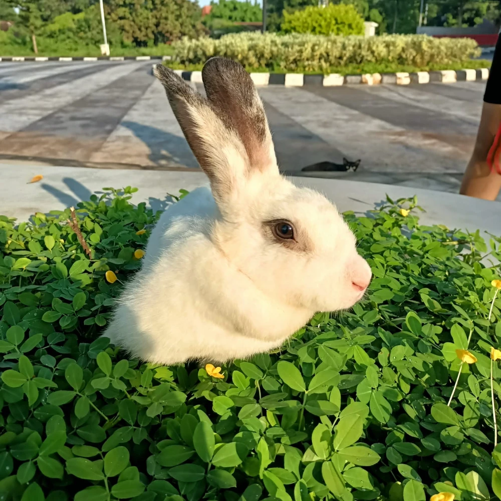Image uploaded by Paskalina