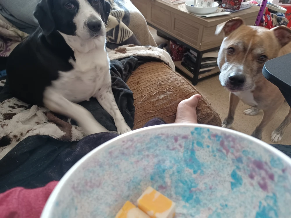 Image uploaded by Rosalie