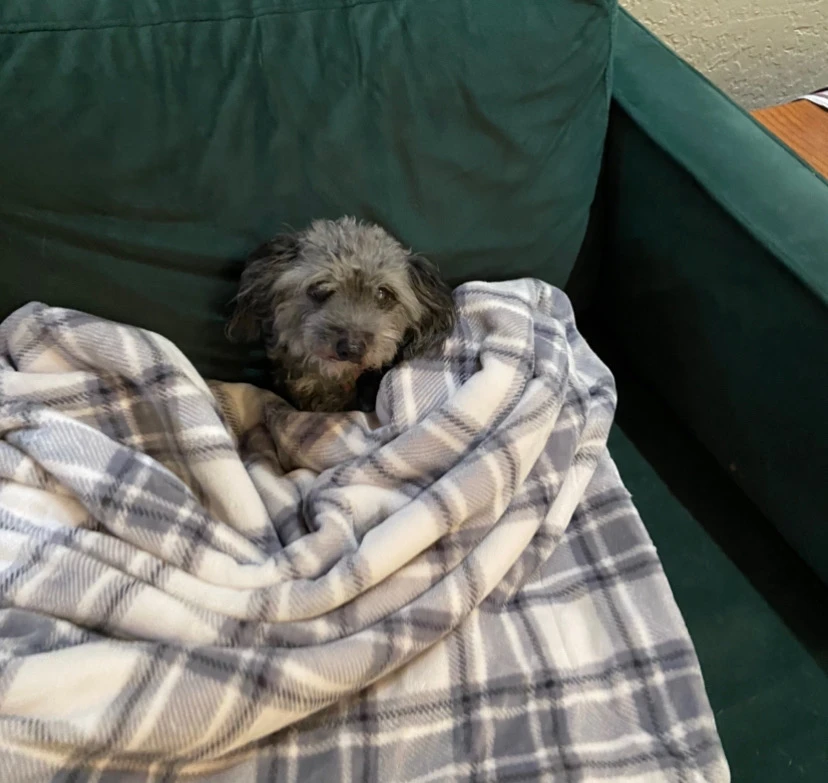 Image uploaded by Berry
