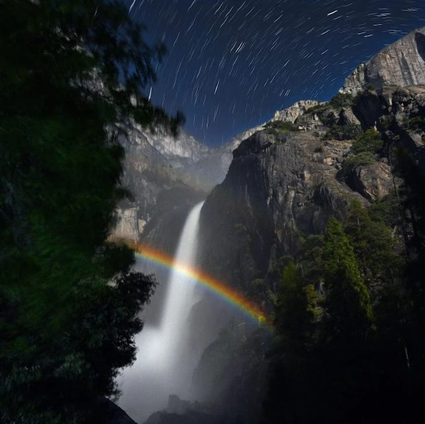 Image uploaded by Sholto