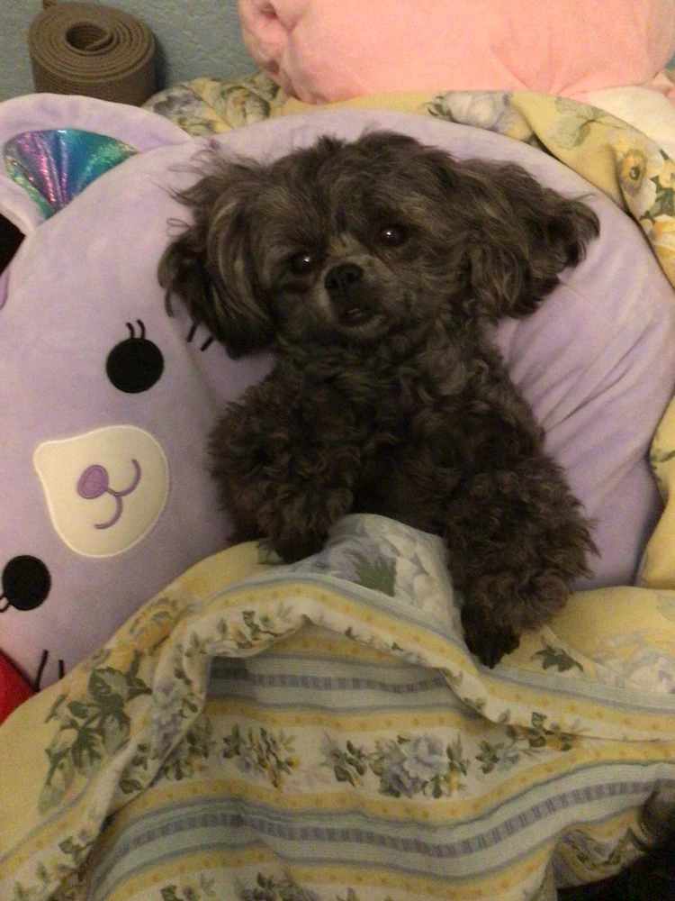 Image uploaded by Mia
