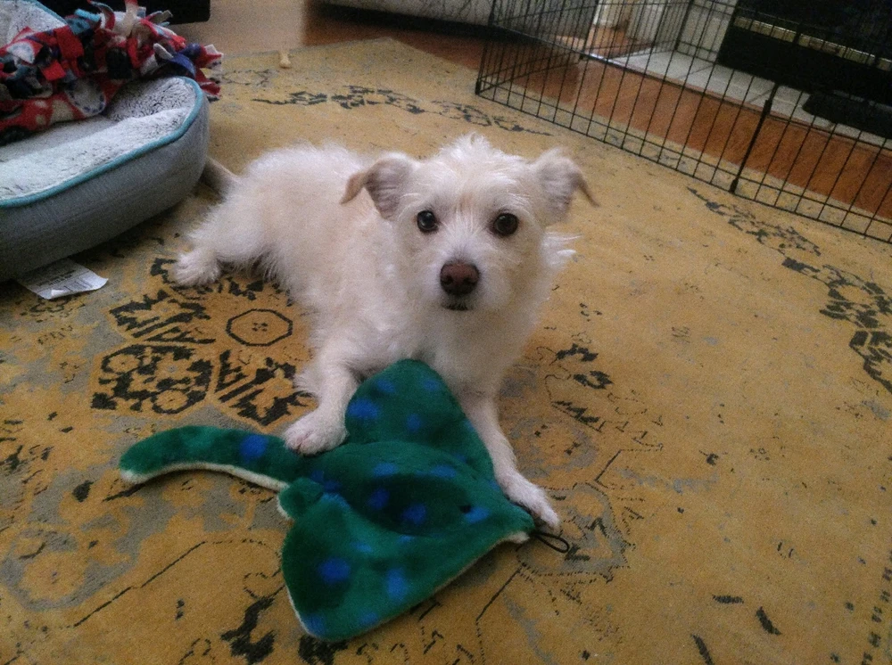 Image uploaded by Selyia