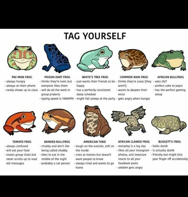 Image uploaded by K ok