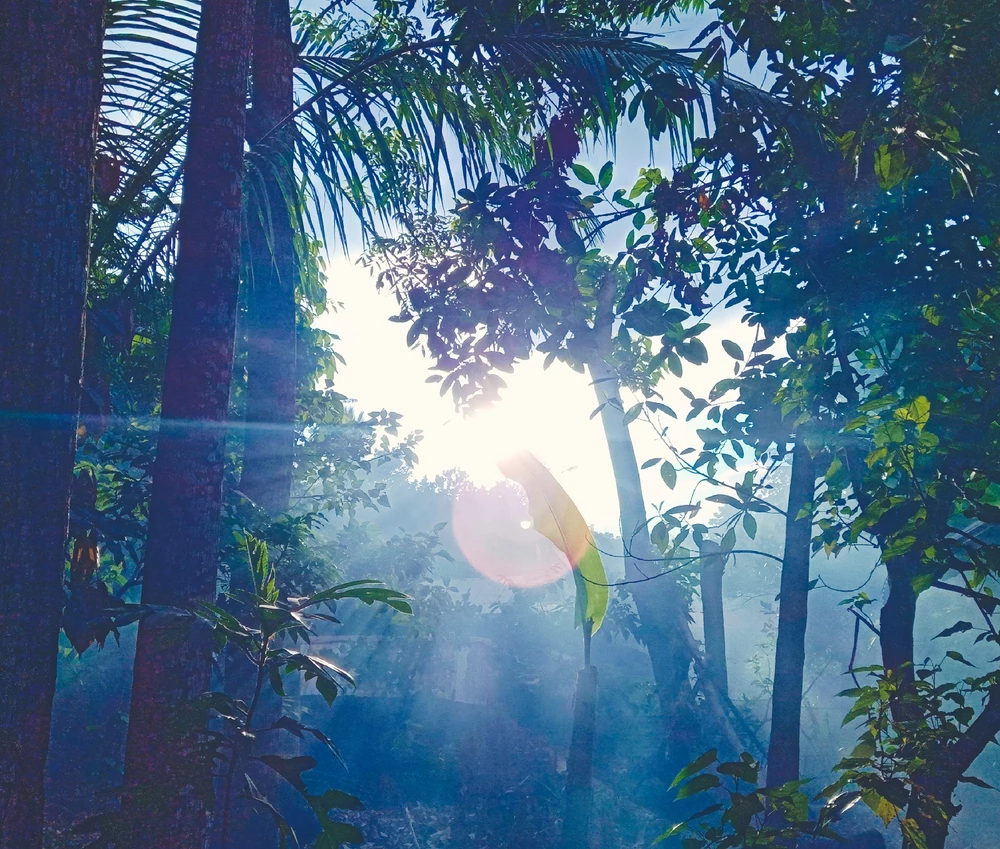 Image uploaded by Hypnos y Somnus