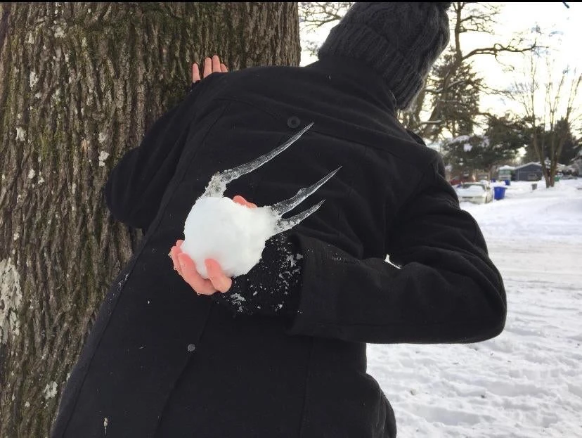 Image uploaded by Toomas