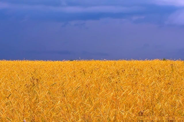 Image uploaded by Saša