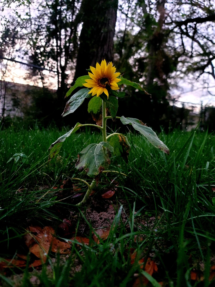 Image uploaded by Syd