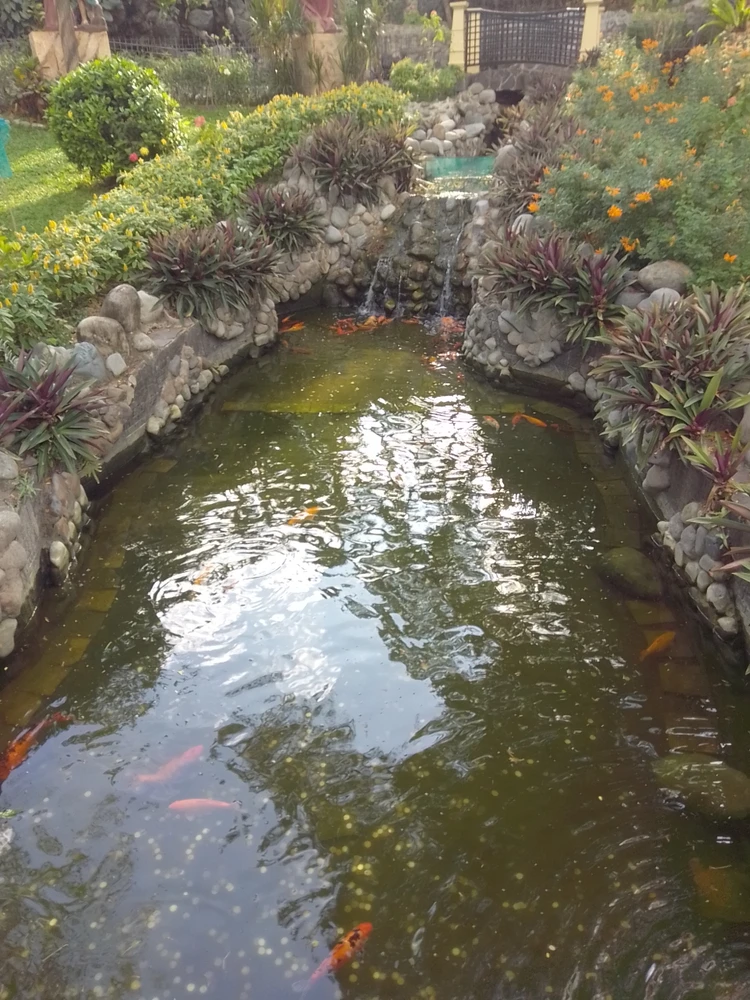 Image uploaded by _ren_