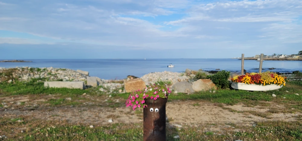Image uploaded by Conor Geary