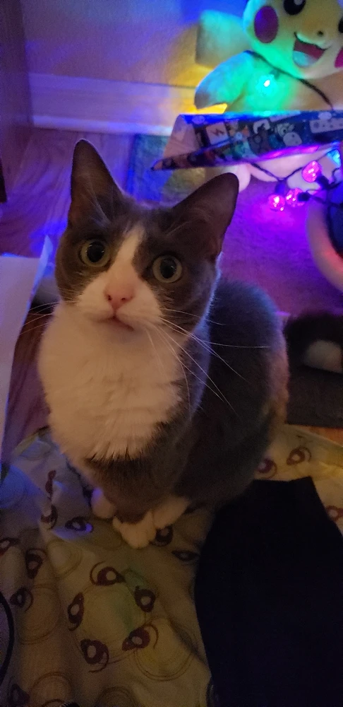 Image uploaded by Brianna