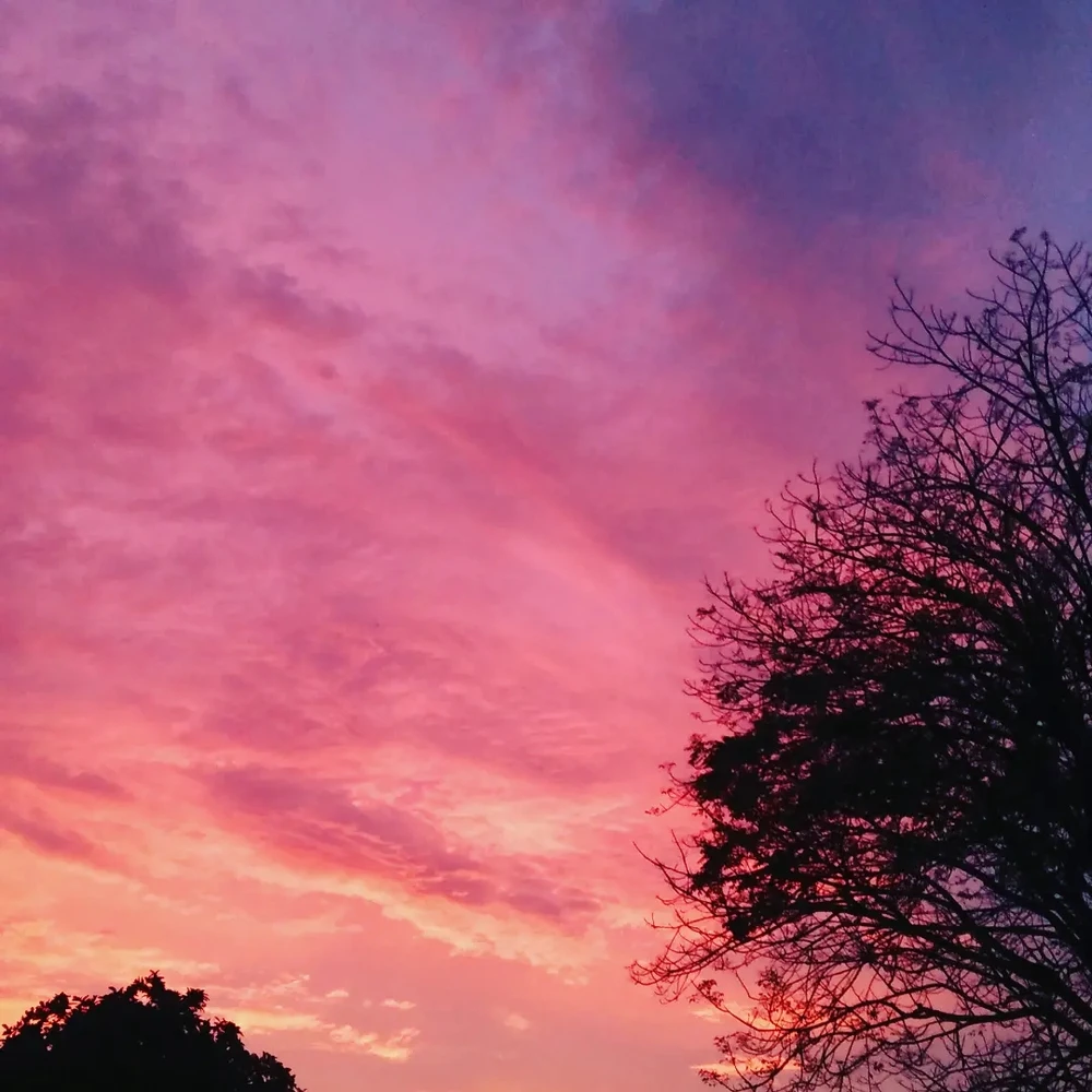 Gambar diunggah oleh Cinta