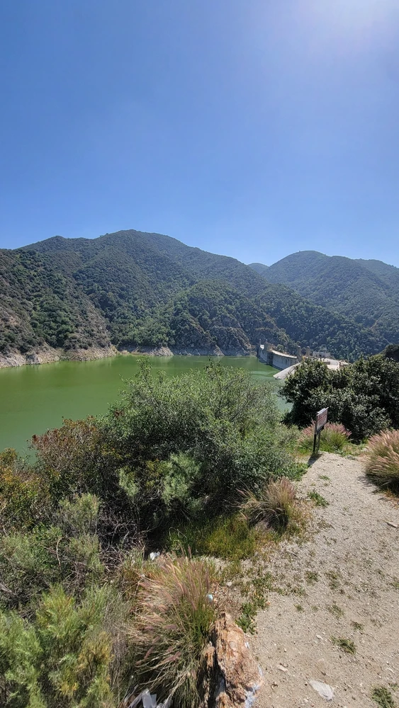 Image uploaded by Alex