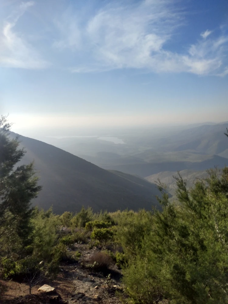 Image uploaded by K