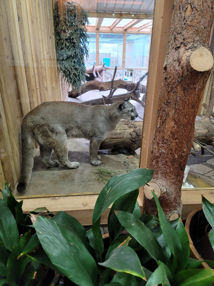 Image uploaded by Alexander