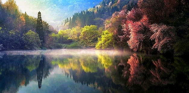 由Phoenix上传的图片