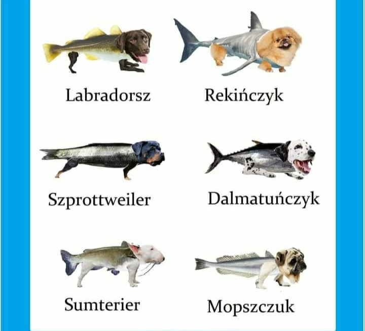 Zdjęcie dodane przez Wiktoria