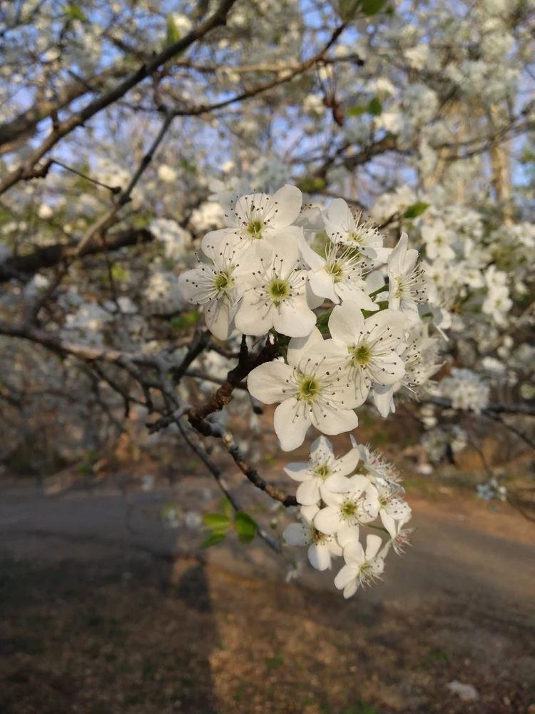 Image uploaded by Otts