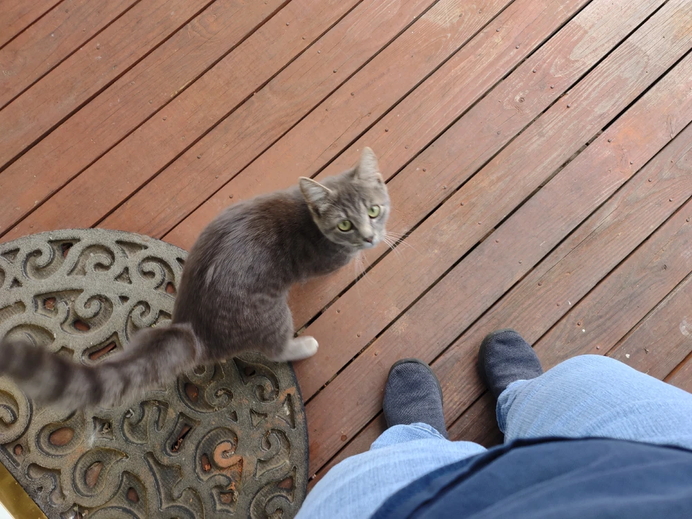 Image uploaded by Krysta